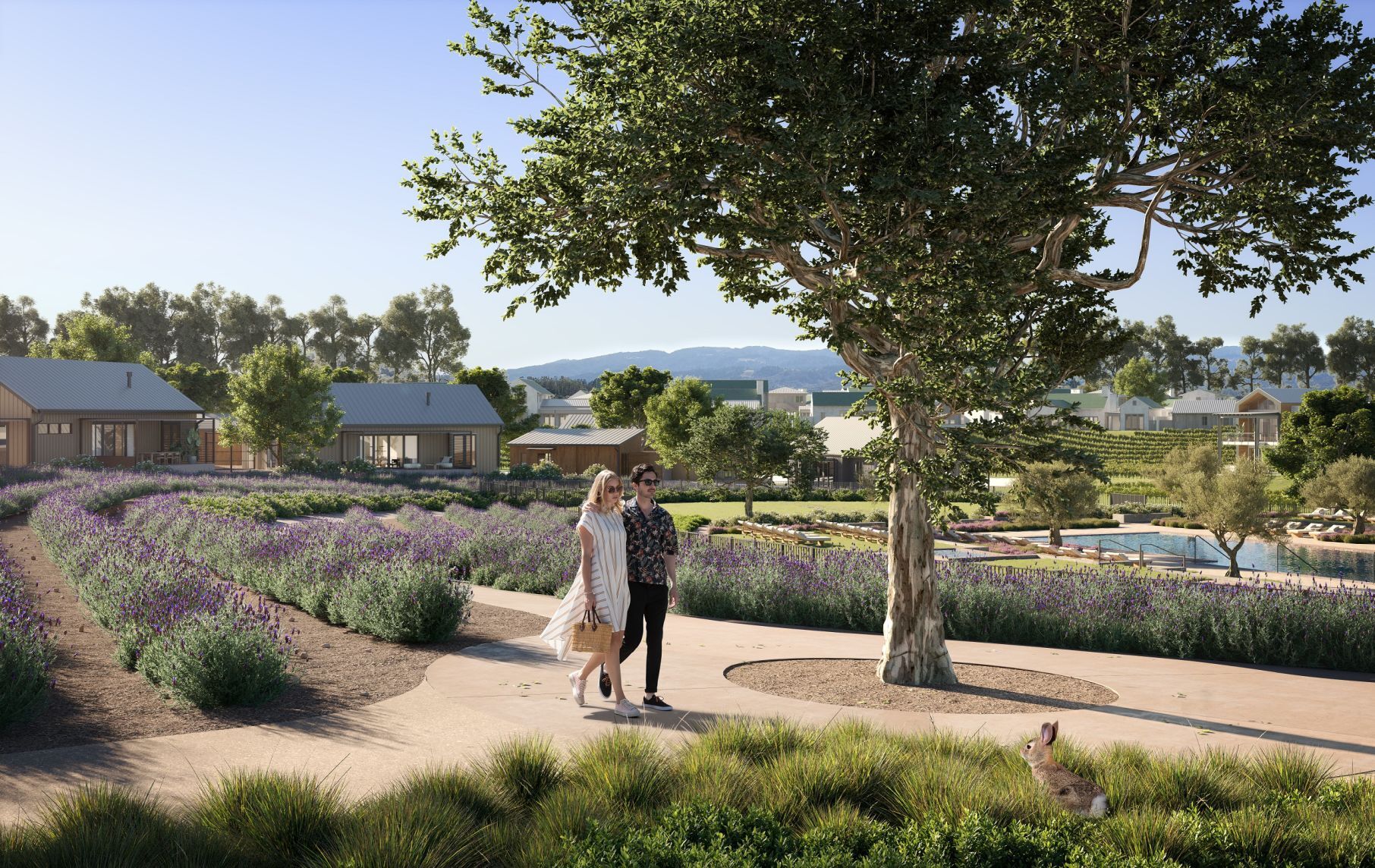 Napa's Stanly Ranch resort